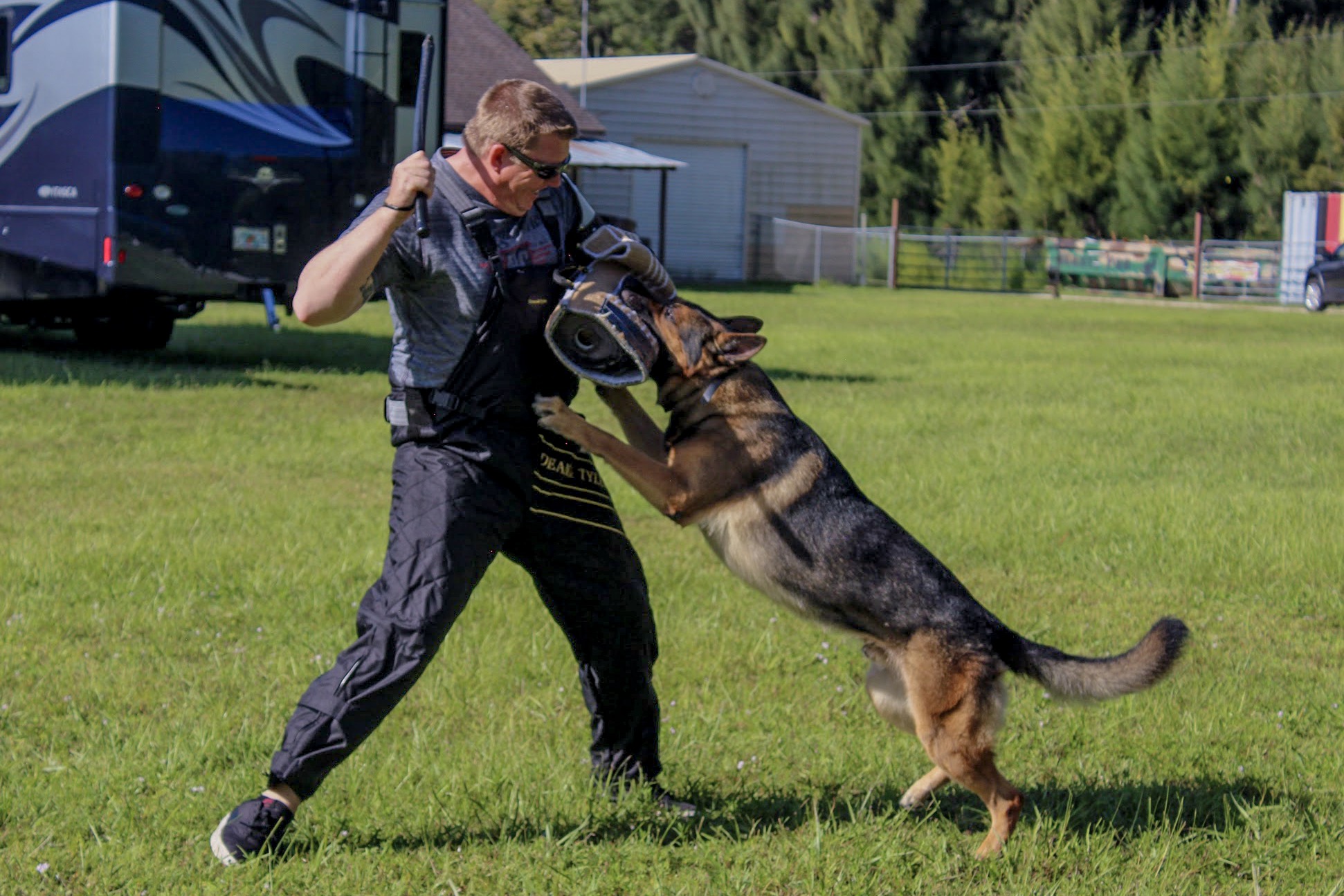 Gallery – Gulf Coast Schutzhund Club